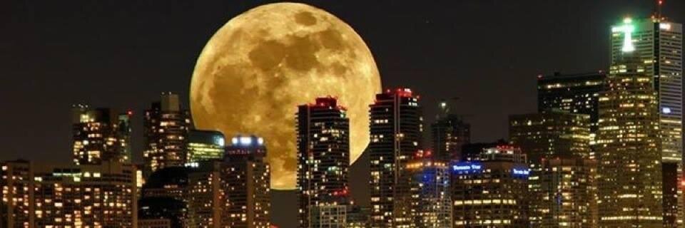 estaurotida's profile banner image