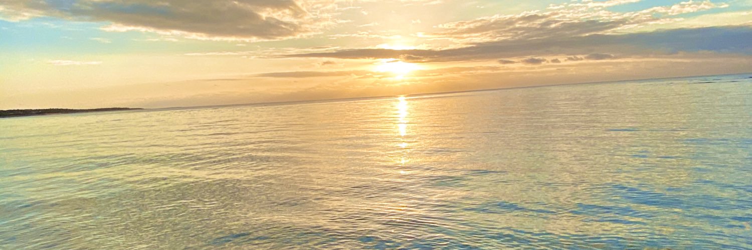 meel_tae's profile banner image