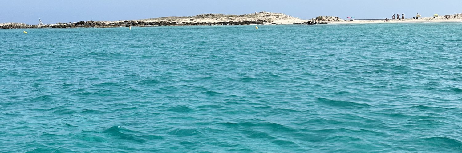 Sofía Hernanz Costa banner