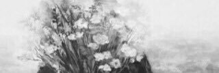 afnannajar's profile banner image