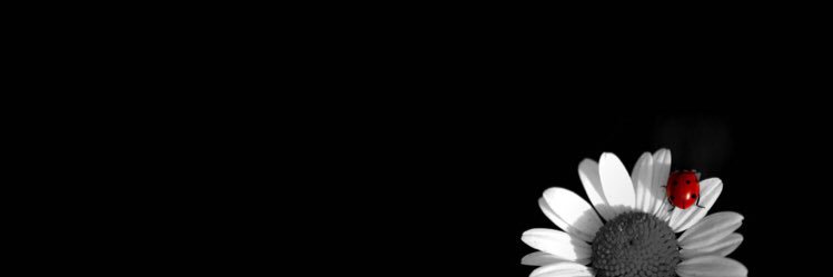 CpMyriam's profile banner image