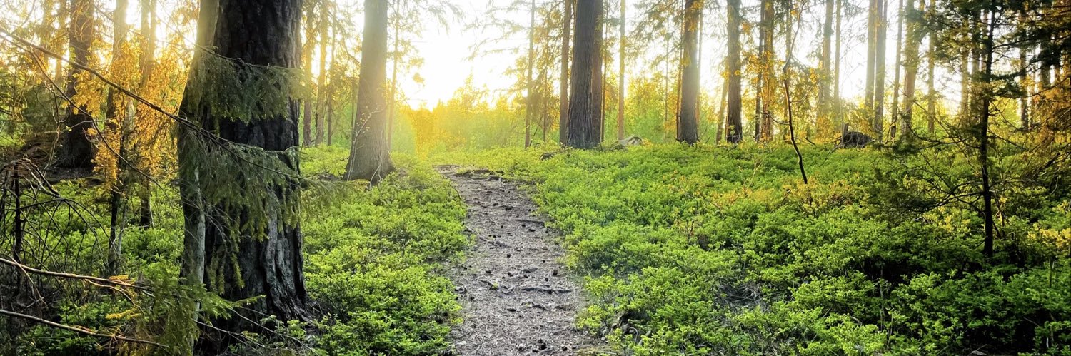 🐻Kristian ☢️ banner