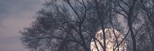 pprajant's profile banner image