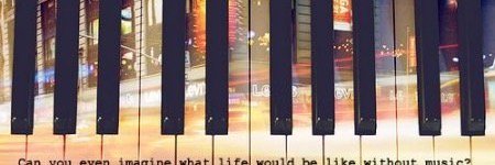 ChookasForever's profile banner image