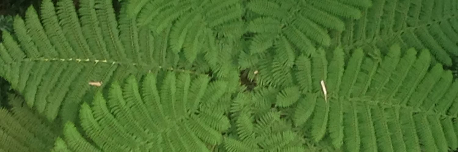 Julia Barrett banner