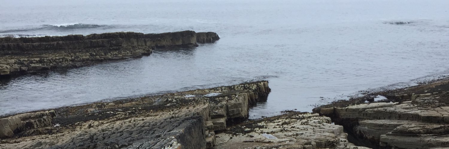 🌈✨🔥☀️♻️🤪 banner