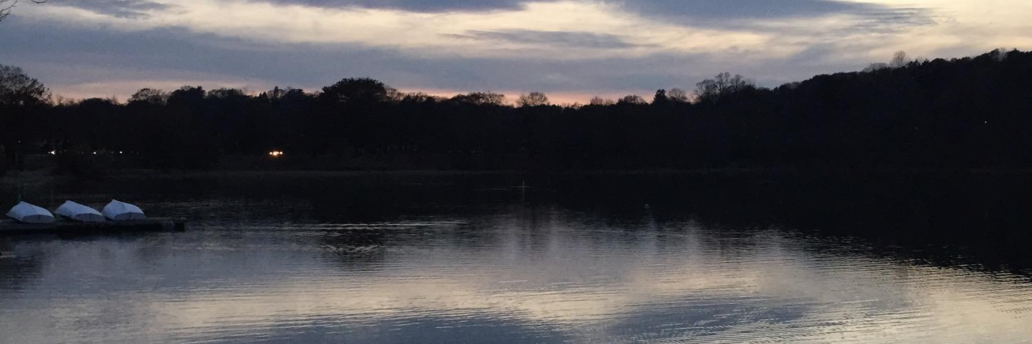 evangwyn's profile banner image
