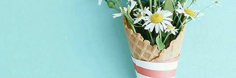 Mega Putrihadianty banner