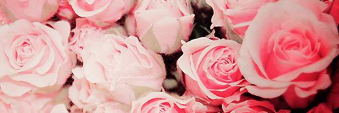 vicky_fitchh's profile banner image