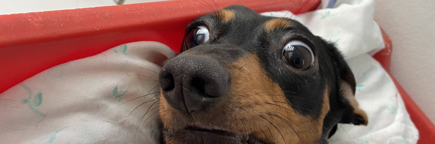 gabi banner