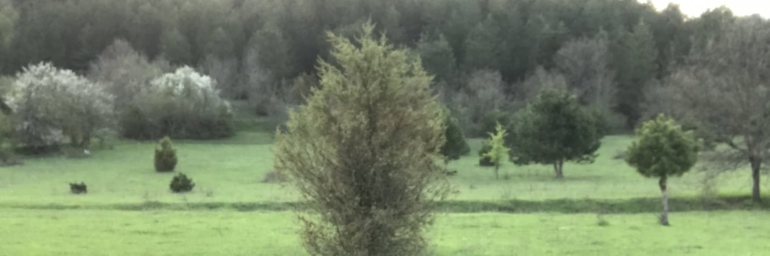 erdoganismail66's profile banner image