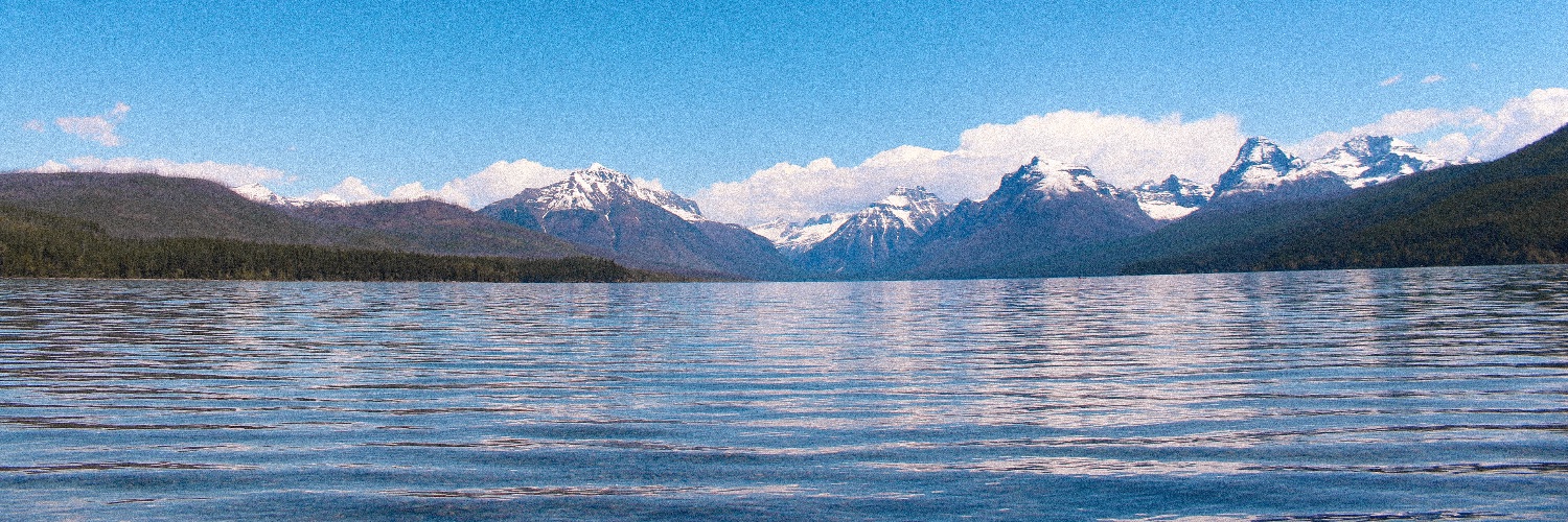 shaystrauss's profile banner image
