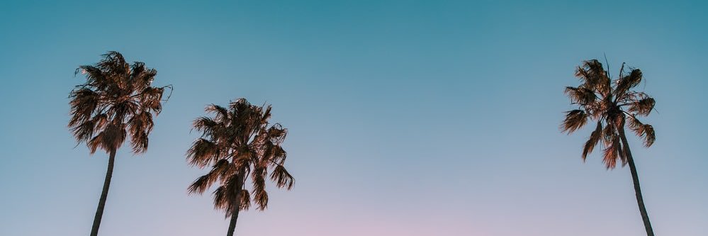 ImBrianaa's profile banner image