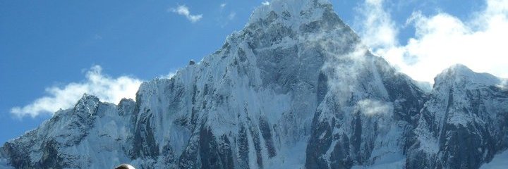 OliverJacquesAU's profile banner image