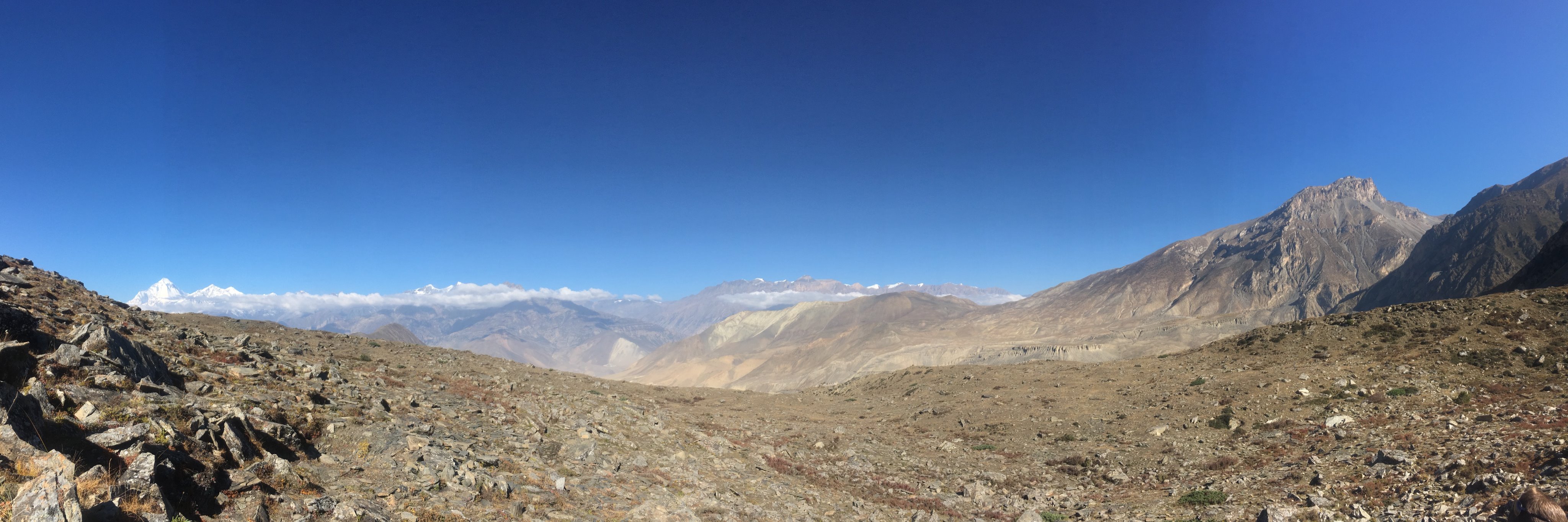 Himalayan Nature banner