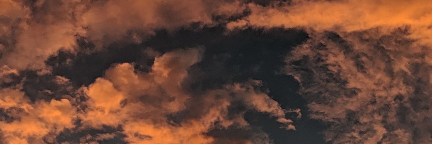 ruffedgez's profile banner image