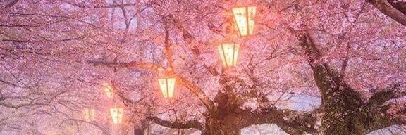 naabloo12_55's profile banner image