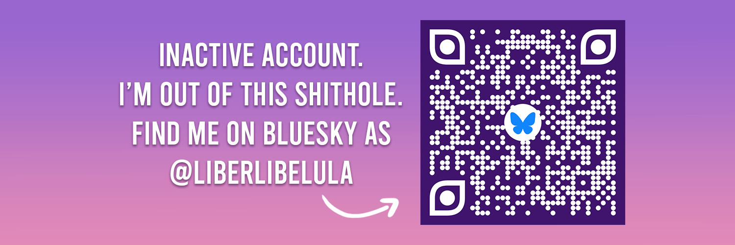 LiberLibelula's profile banner image