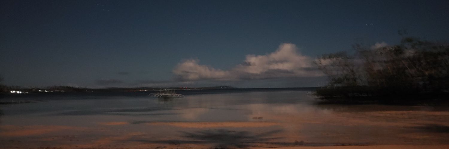 polcasilla_'s profile banner image