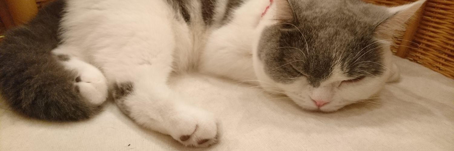 ぎな banner