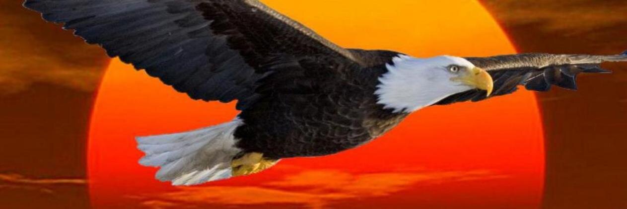ivardakis's profile banner image