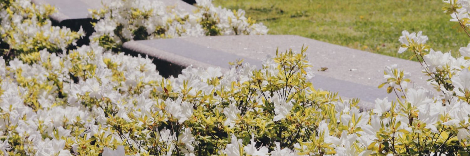 Gisellelluna's profile banner image