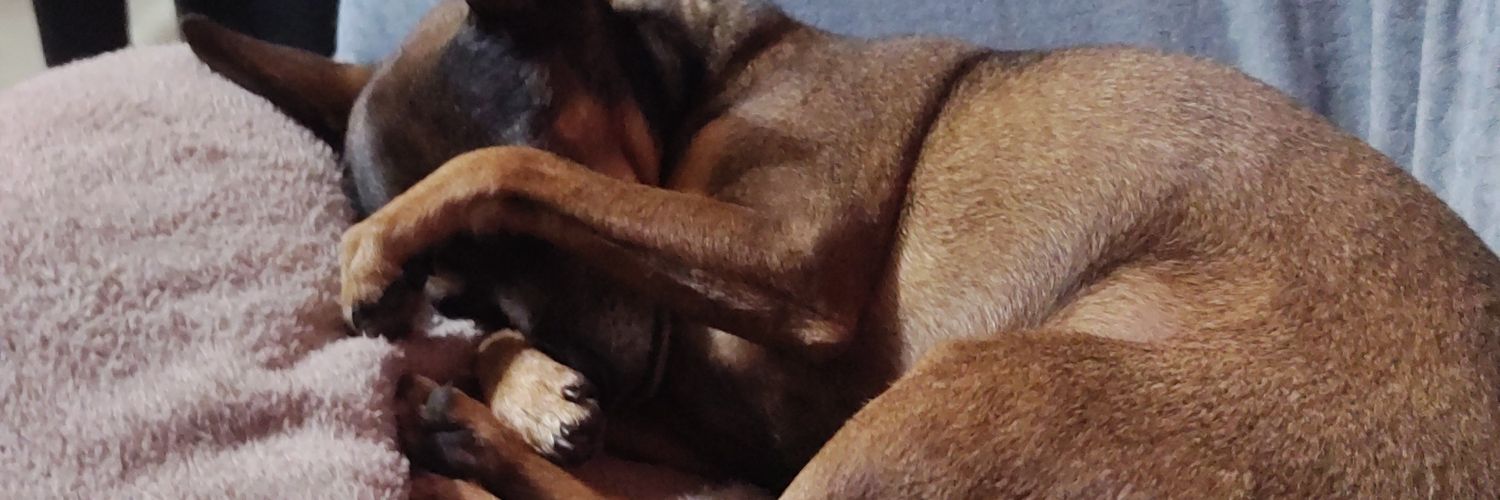 this_gus's profile banner image