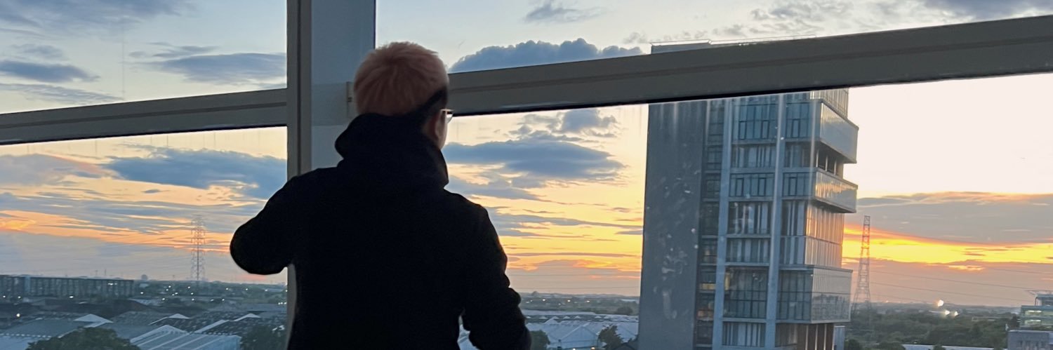 sitxbt's profile banner image
