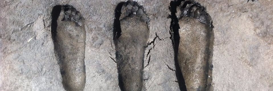 axvnk's profile banner image