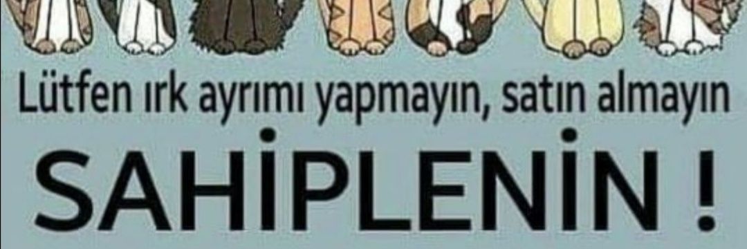 isilmts's profile banner image