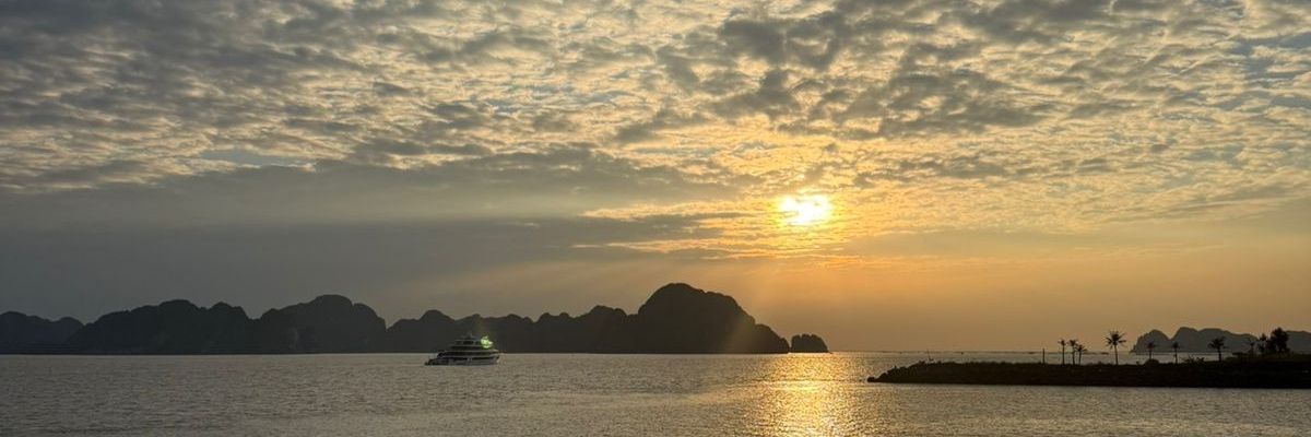 afandibande's profile banner image