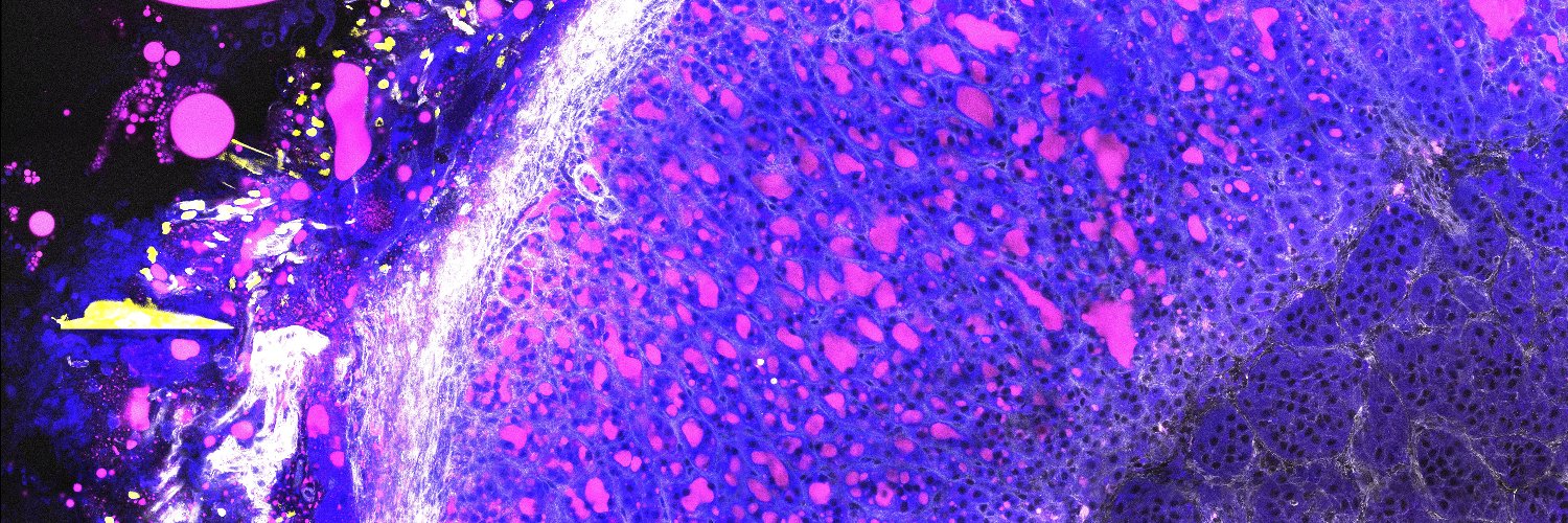 Biologist_Bobby's profile banner image