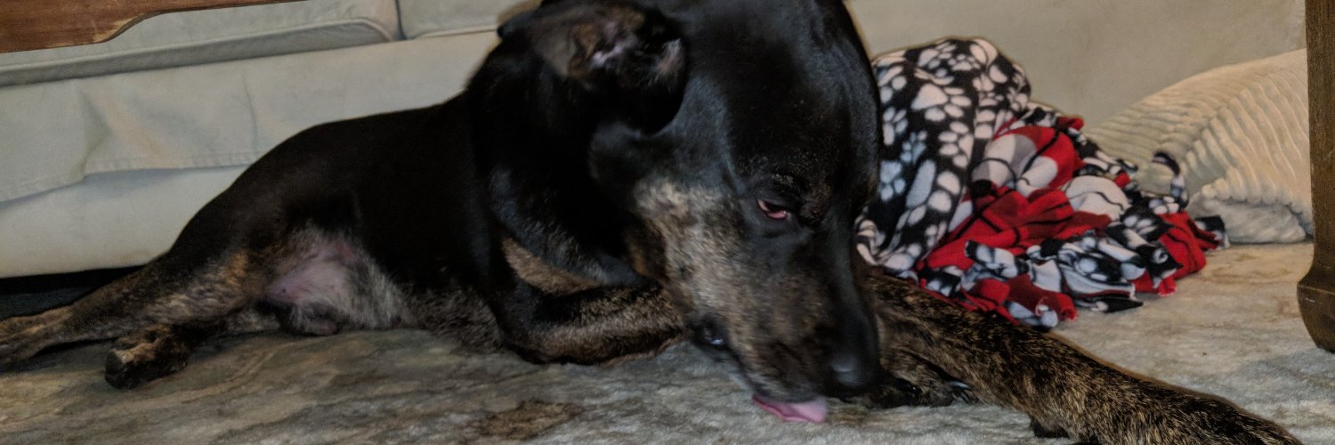 Active Tower Lore banner