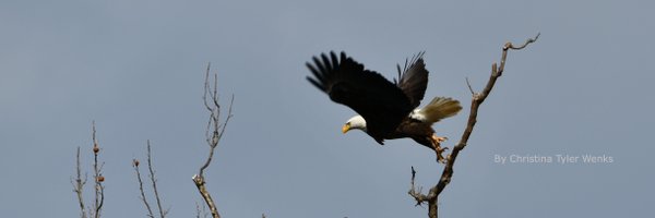 MusikFrau Profile Banner