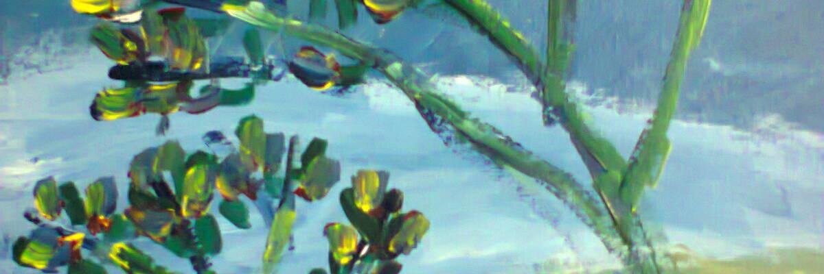 subheshC's profile banner image