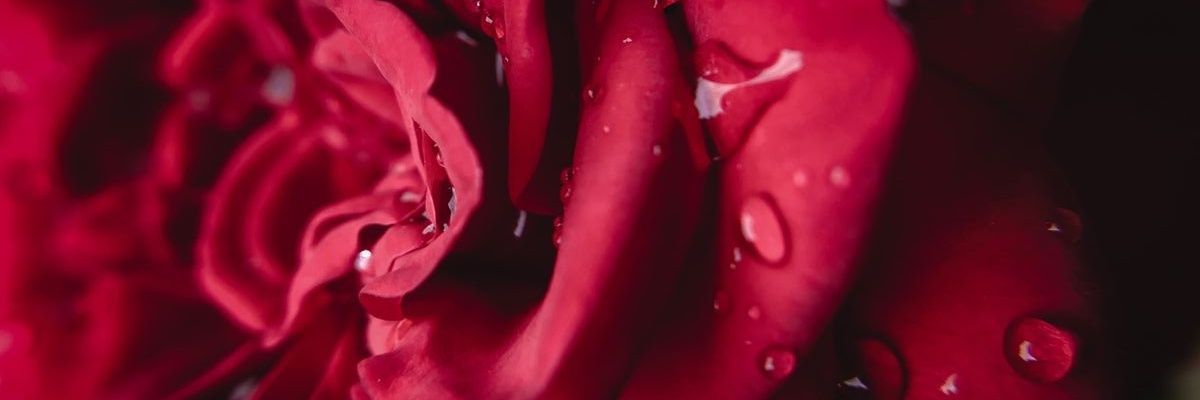 galaxy_aaaa's profile banner image