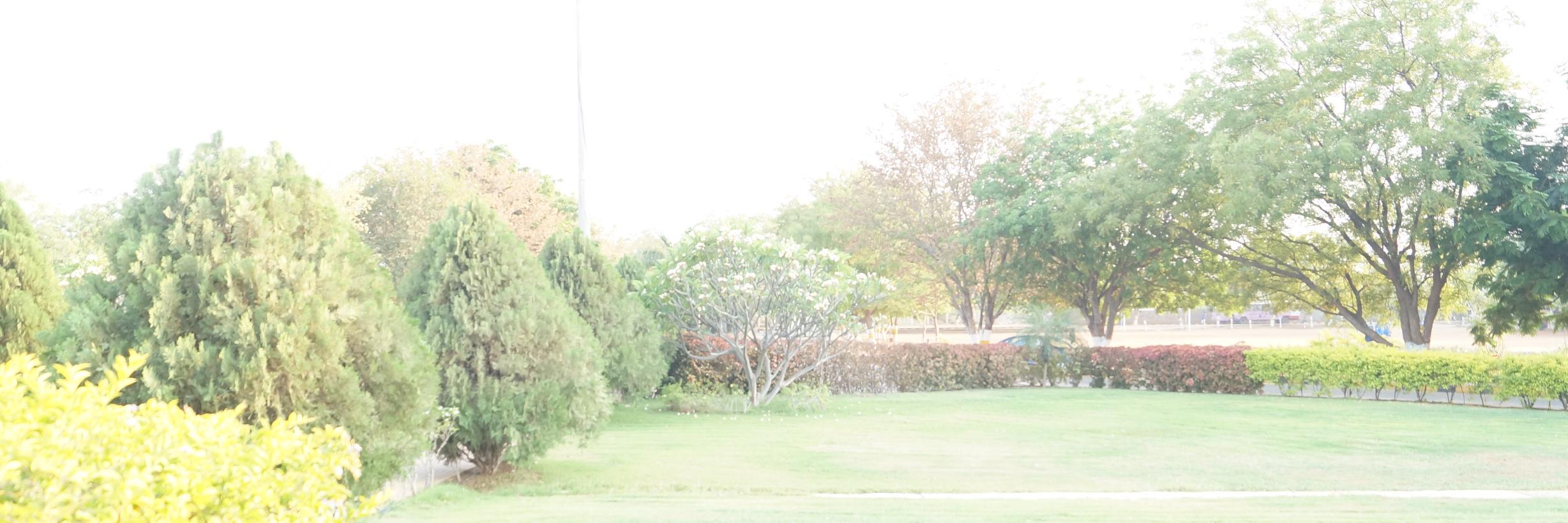 PAbhinay's profile banner image