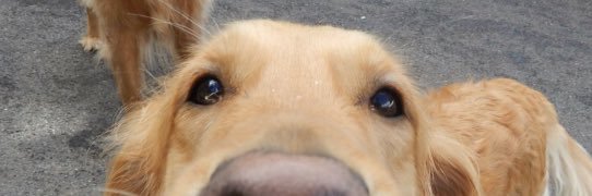 BreezyCass's profile banner image