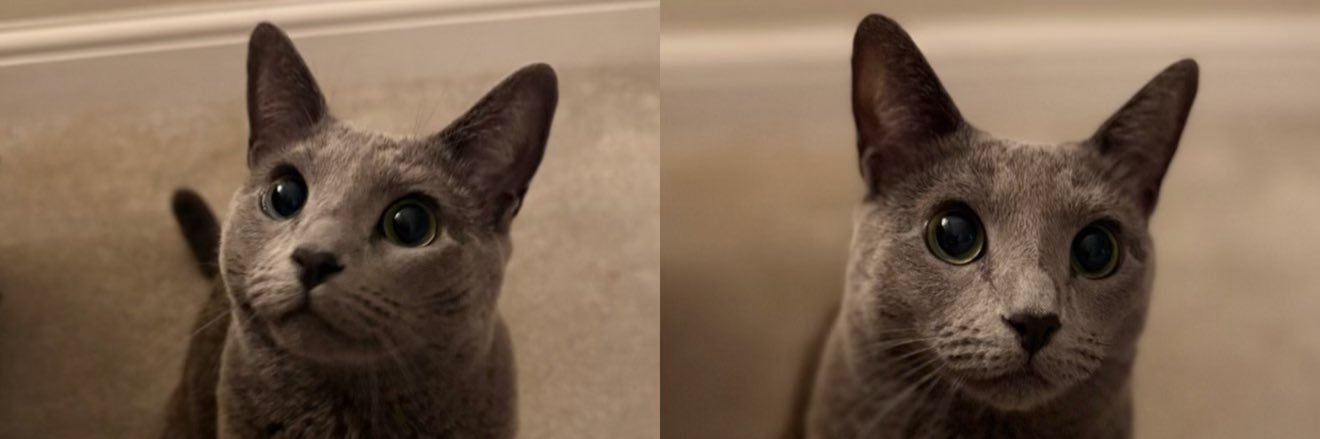 Jesswilliamsx_'s profile banner image