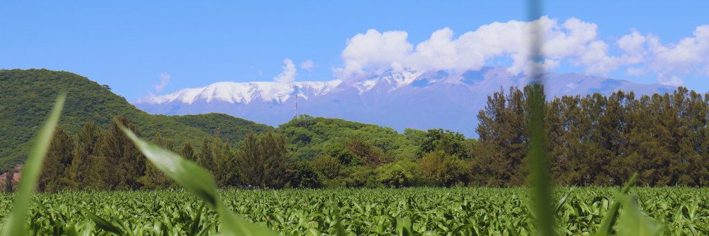 INTASalta's profile banner image