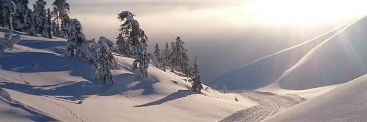 AVilppola's profile banner image