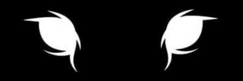 akunroni's profile banner image
