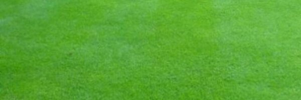 DestinationXV Profile Banner