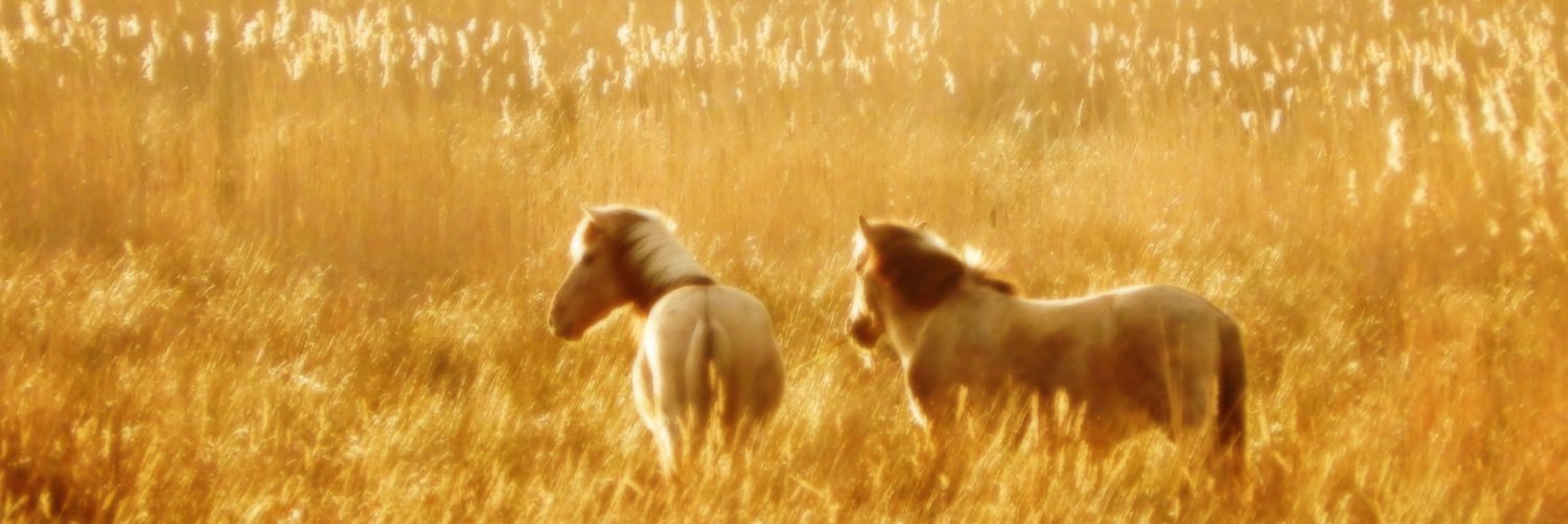 Just__LJ's profile banner image