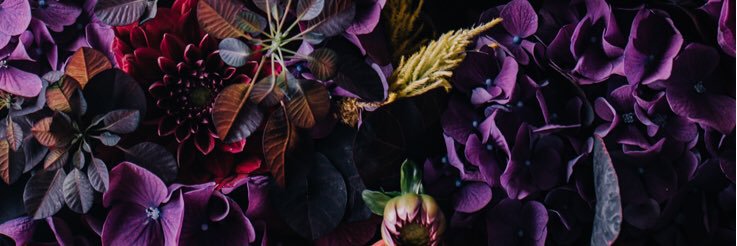 Jami_Lynne's profile banner image