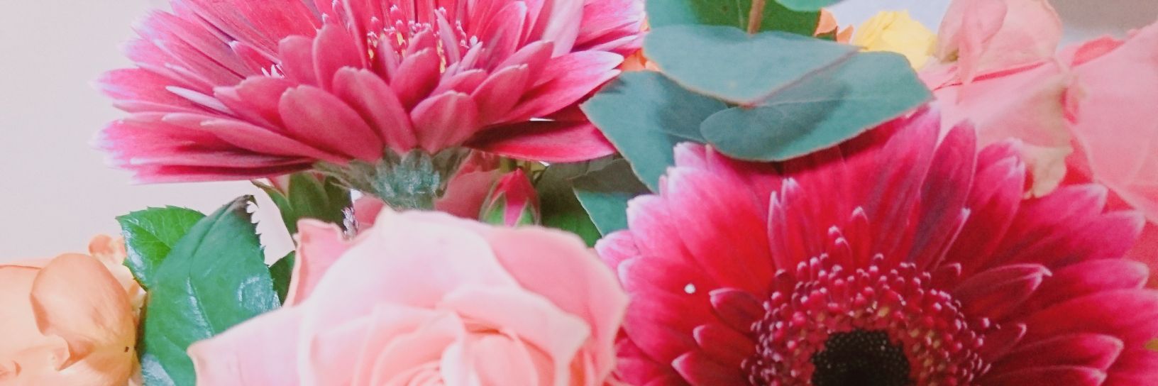 laxisl's profile banner image