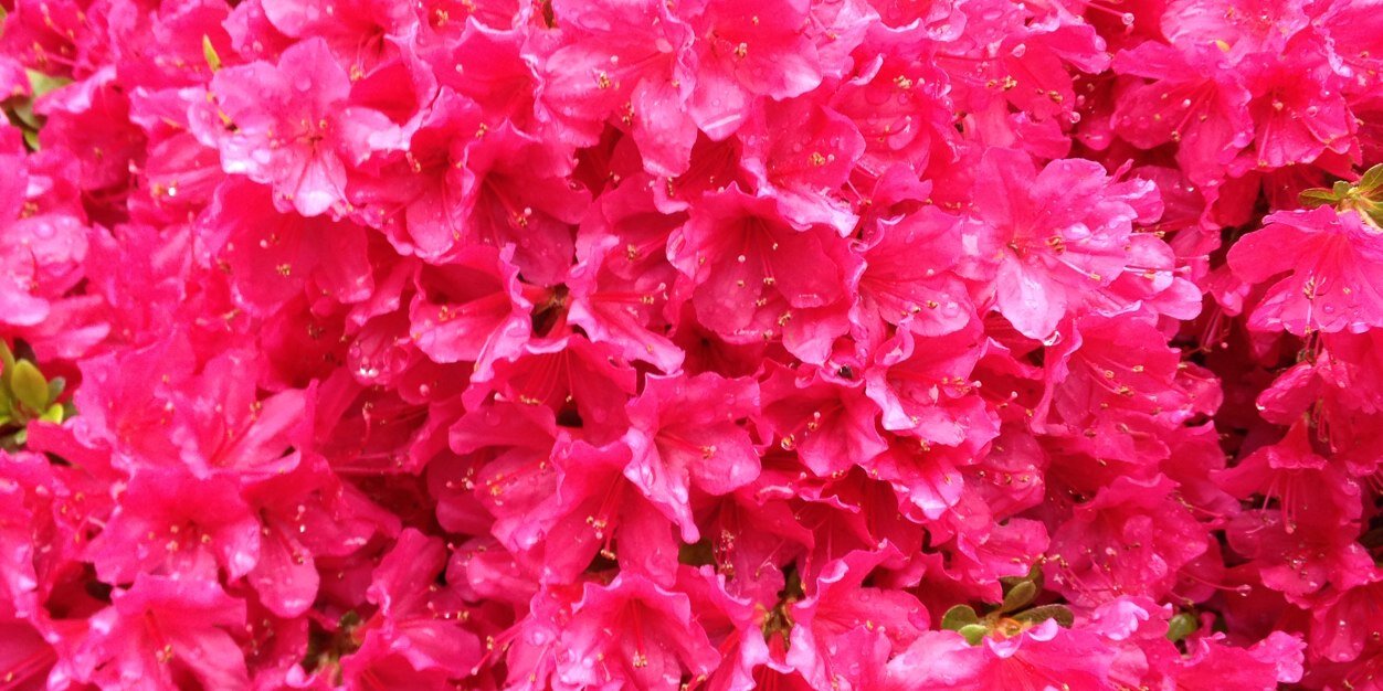 ym5198's profile banner image