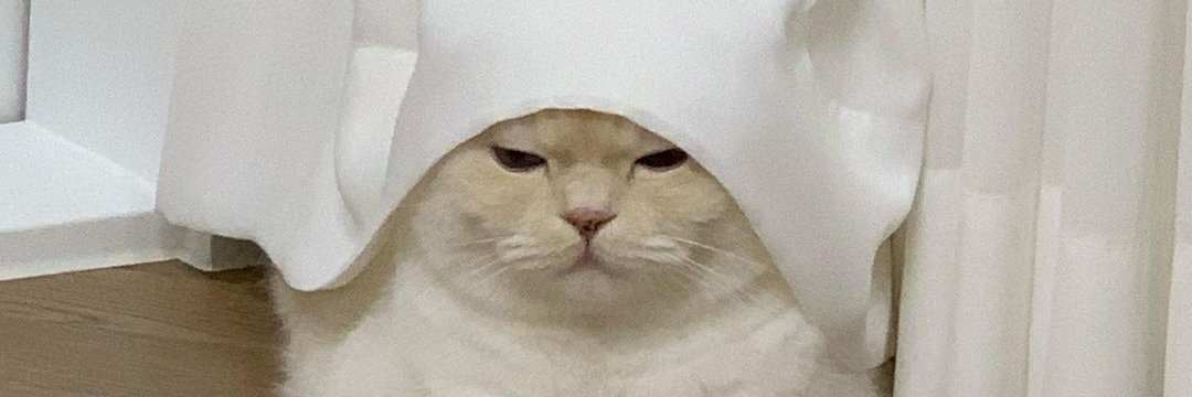 dddddearr's profile banner image