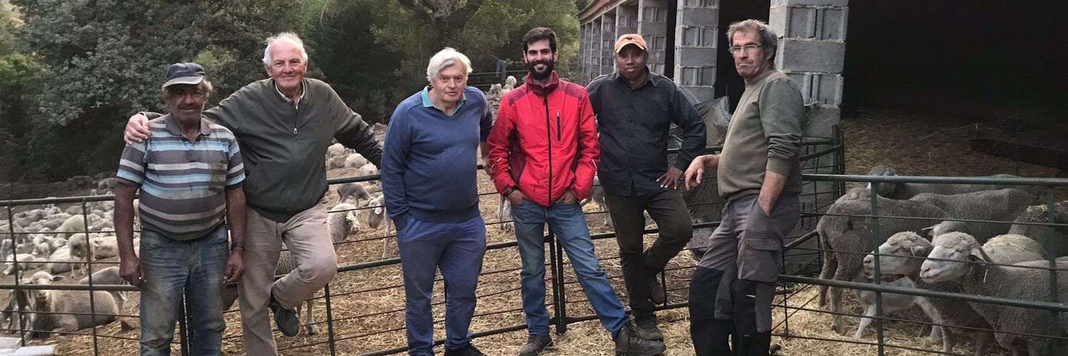 somormuj's profile banner image