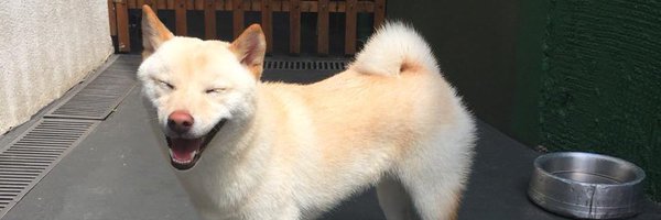 isaquarterone Profile Banner